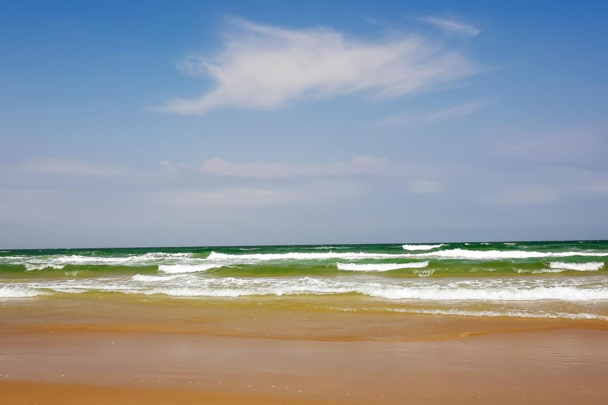 Surfside Condos South Padre Island Room photo
