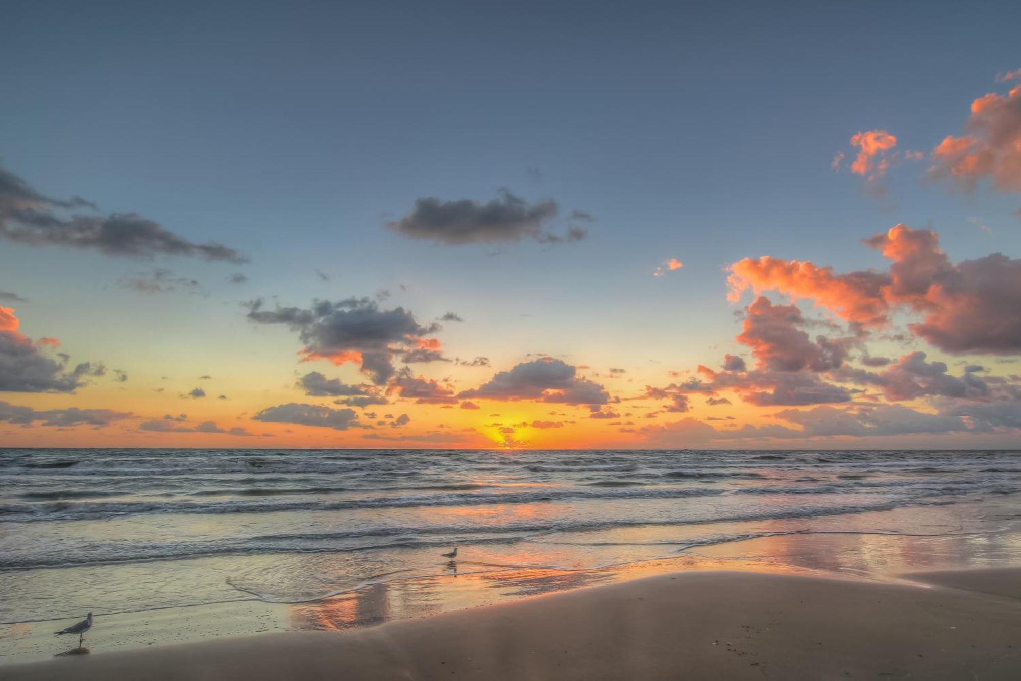 Surfside Condos South Padre Island Room photo
